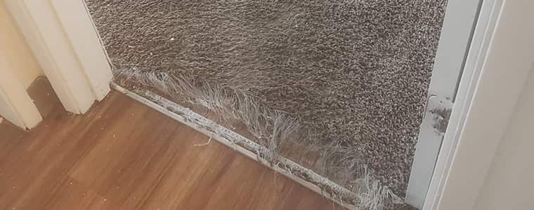 Carpet Repair Trawool