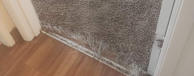 Carpet Repair Erreys